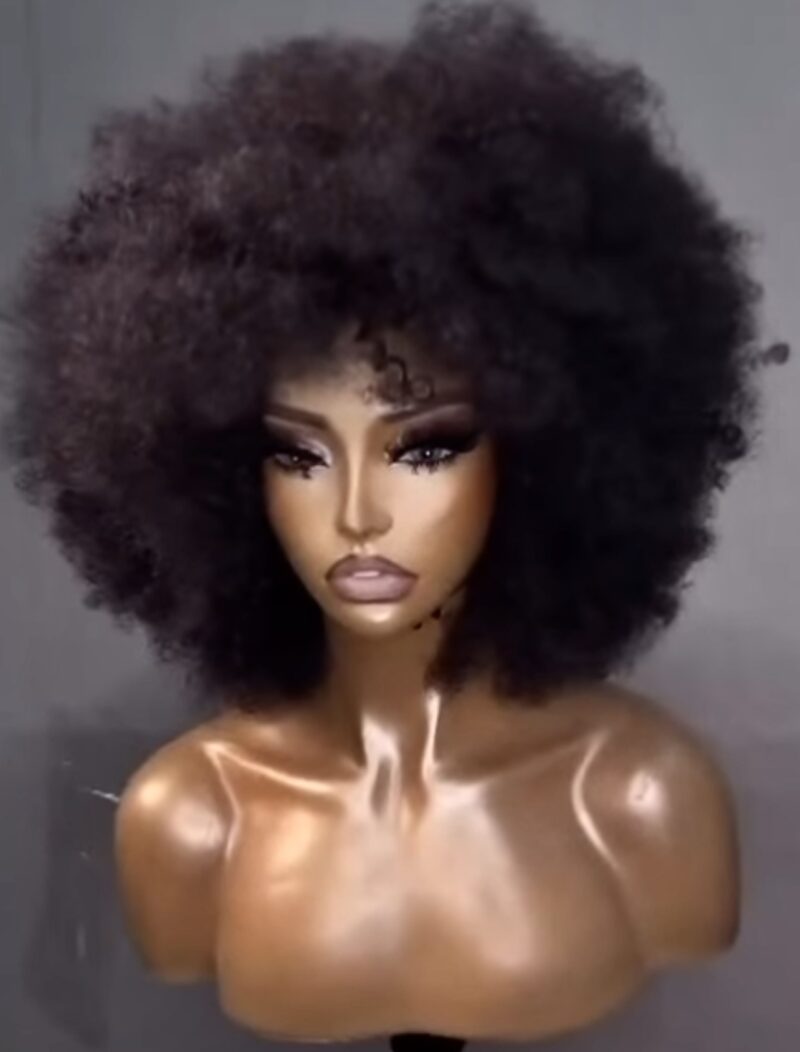 101 Big Afro Wig