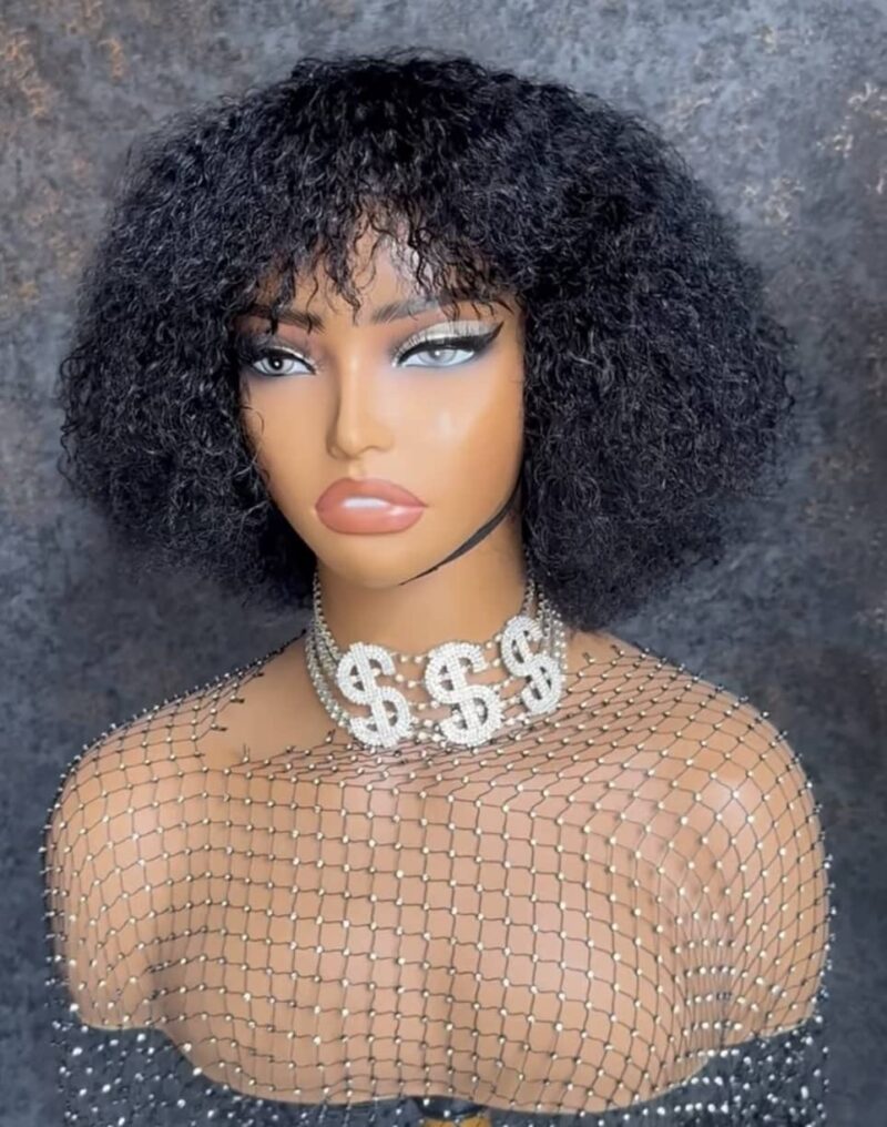 106 Afro Kinky Curly Wig